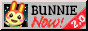 bunnie