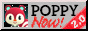 poppy